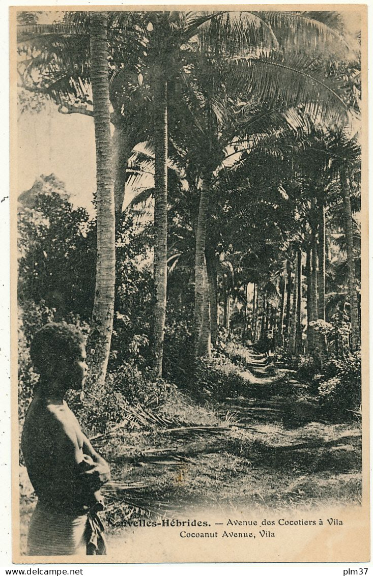 NOUVELLES HEBRIDES - Avenue Des Cocotiers à Vila - Vanuatu