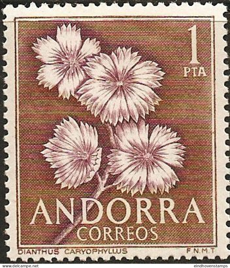 Andorra Spanish Post 1966 1 Value MNH Carnation, Clove Pink, Gartennelke, Dianthus Caryophilus - 1966