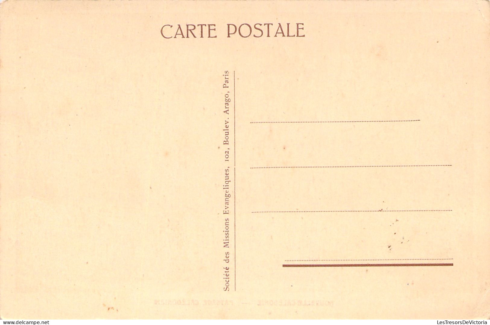 Nouvelle Calédonie  - Paysage Caledonien - Betail - Carte Postale Ancienne - Neukaledonien