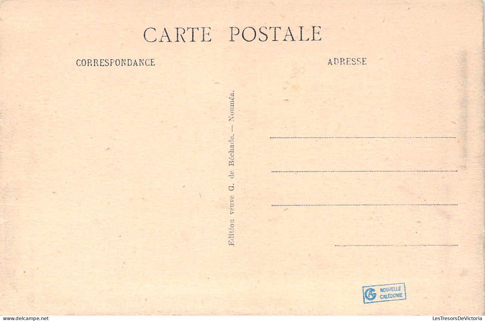 Nouvelle Calédonie  - La Nouvelle Caledonie Pittoresque - Betail Au Paturage - Carte Postale Ancienne - Nueva Caledonia