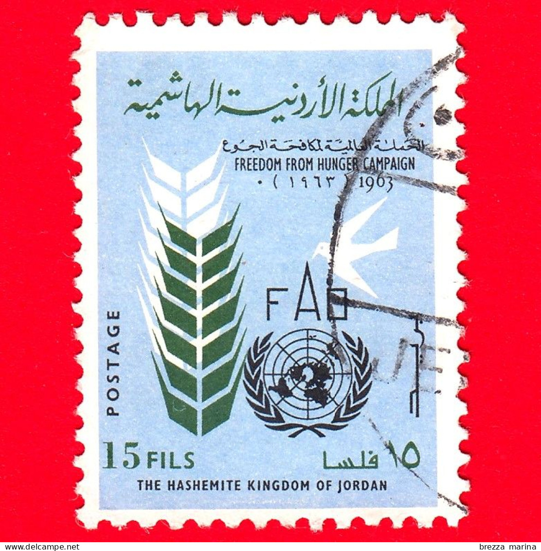 GIORDANIA - Usato - 1963 - Libertà Dalla Fame - ONU - FAO - Freedom From Hunger - 15 - Jordan