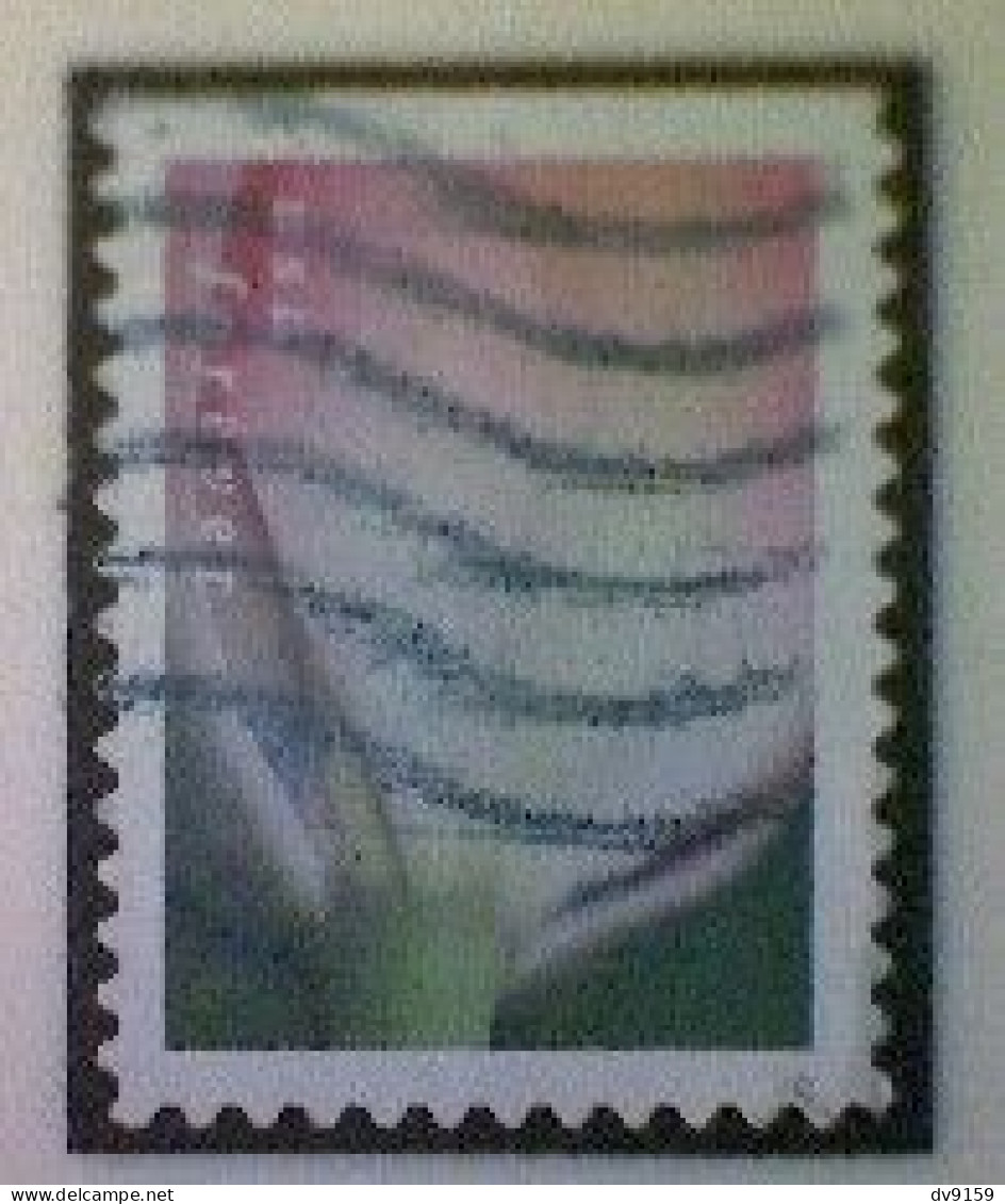 United States, Scott #5779, Used(o), 2023, Tulip Blossom, (63¢), Multicolored - Gebraucht