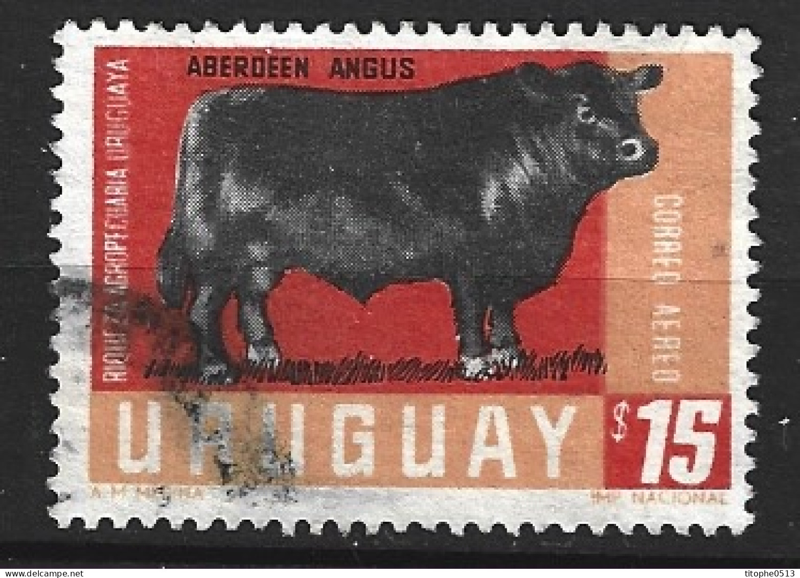 URUGUAY. PA 287 Oblitéré De 1966. Aberdeen Angus. - Koeien