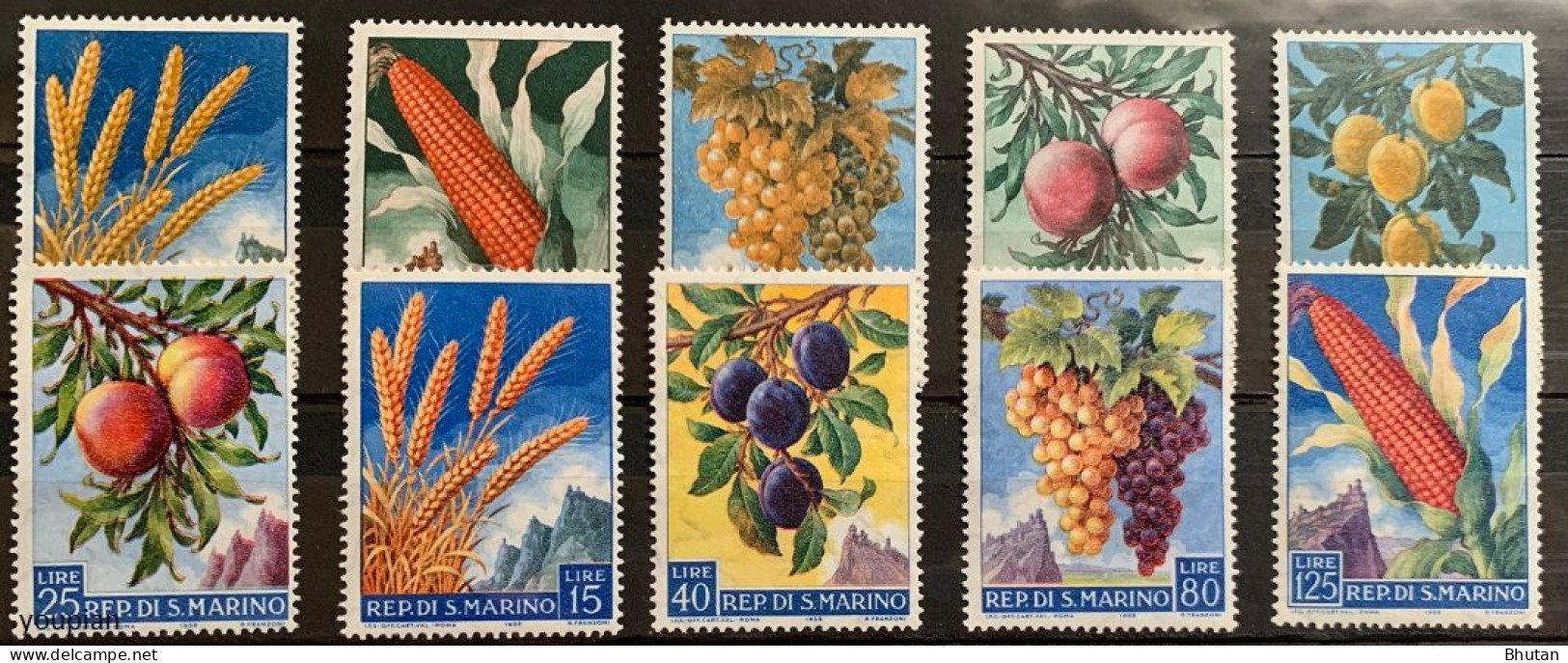 San Marino 1958, Fruits, MNH Stamps Set - Neufs