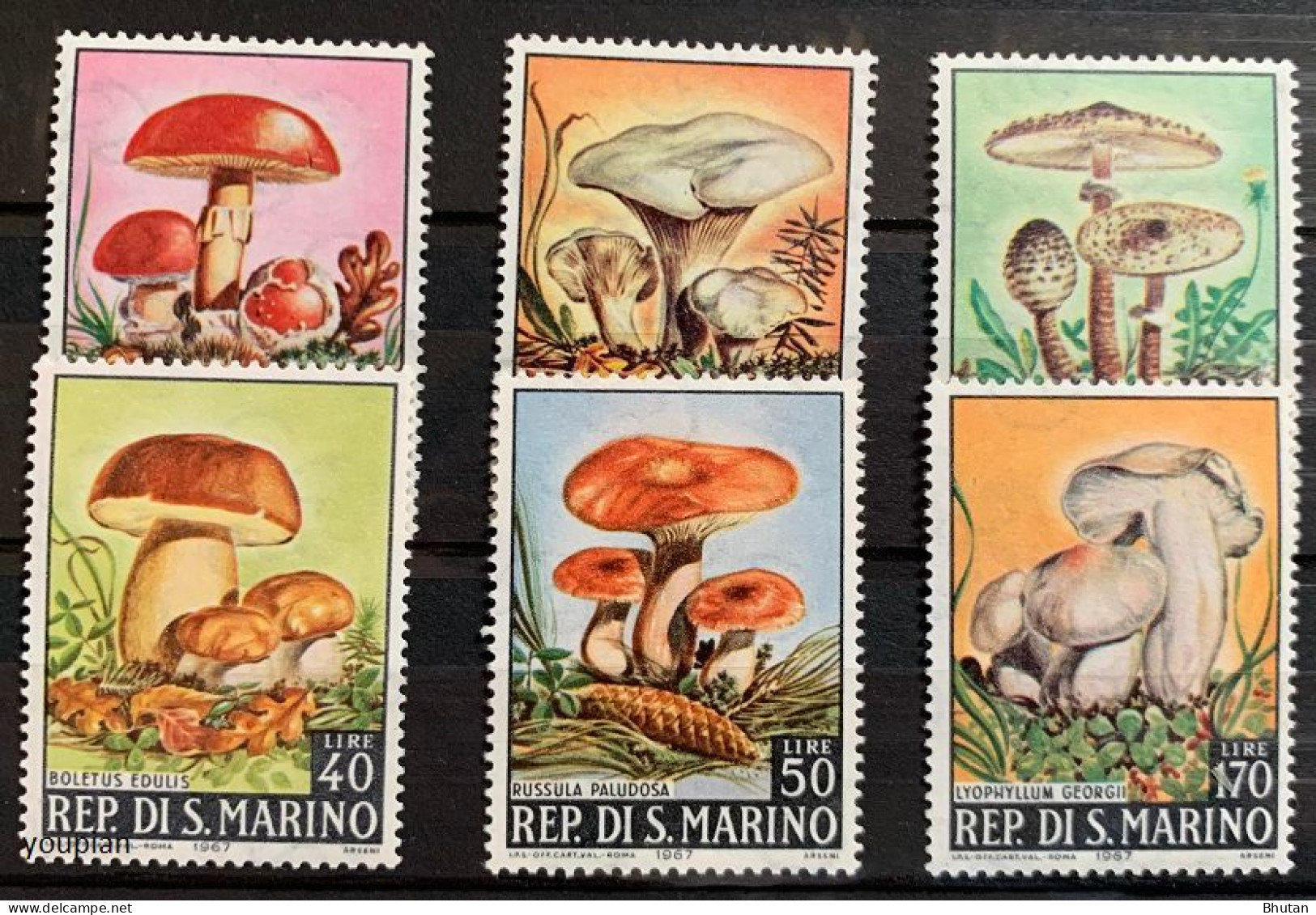 San Marino 1967, Mushrooms, MNH Stamps Set - Neufs