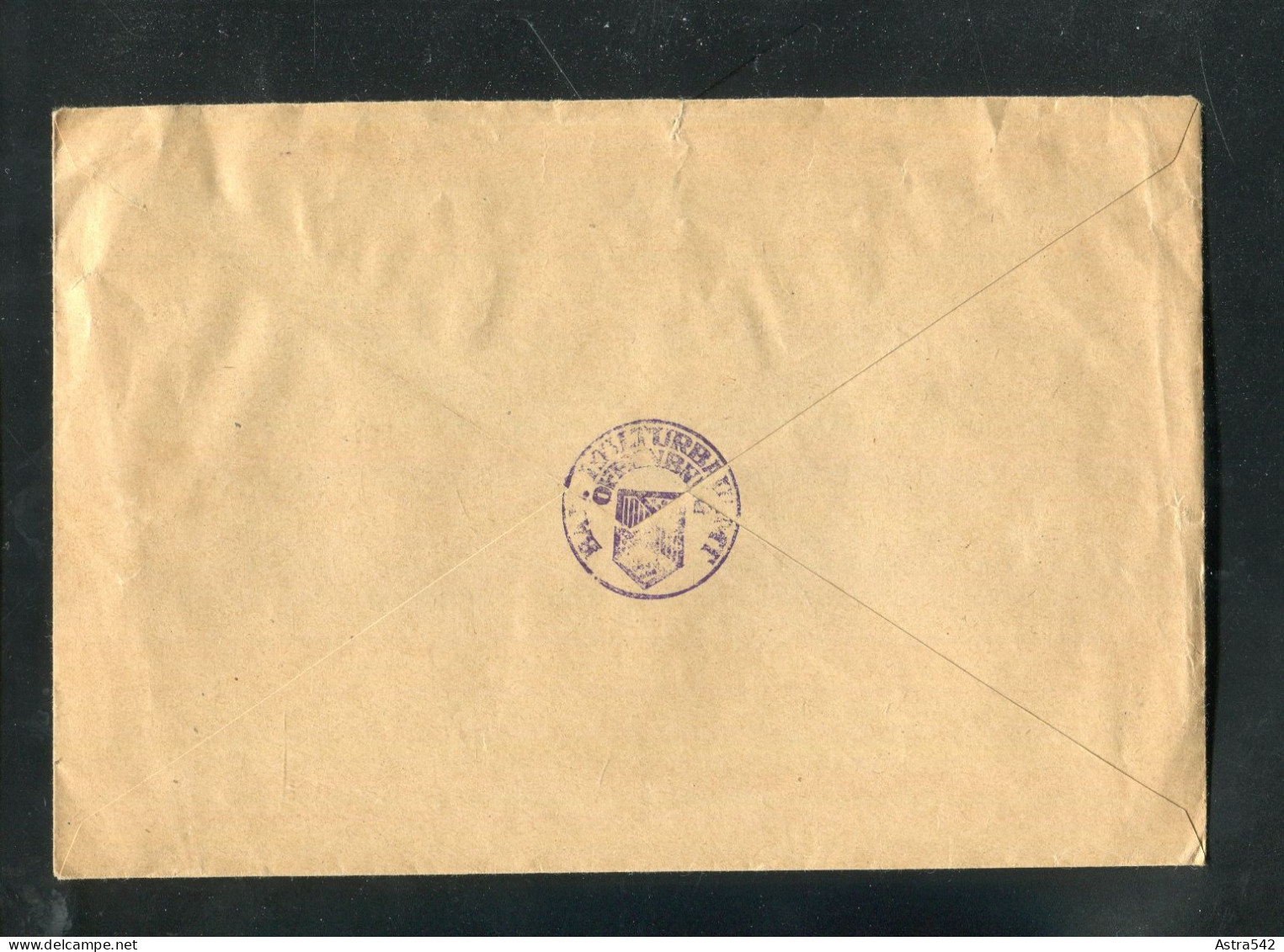 "DEUTSCHES REICH" 1922, Dienstbrief MiF Stegstempel "OFFENBURG" (50112) - Dienstzegels