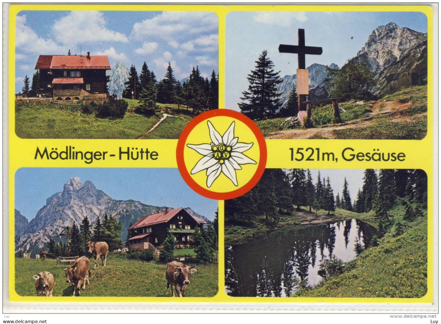 GAISHORN - MÖDLINGER - HÜTTE Im Gesäuse, Mehrbildkarte, Tierhaltung Auf Der Alm - Gesäuse