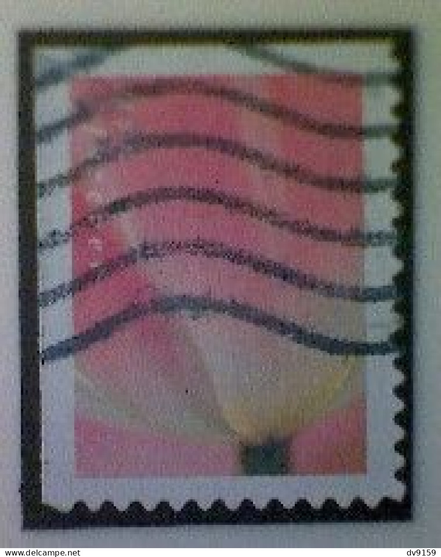 United States, Scott #5778, Used(o), 2023, Tulip Blossom, (63¢), Multicolored - Oblitérés