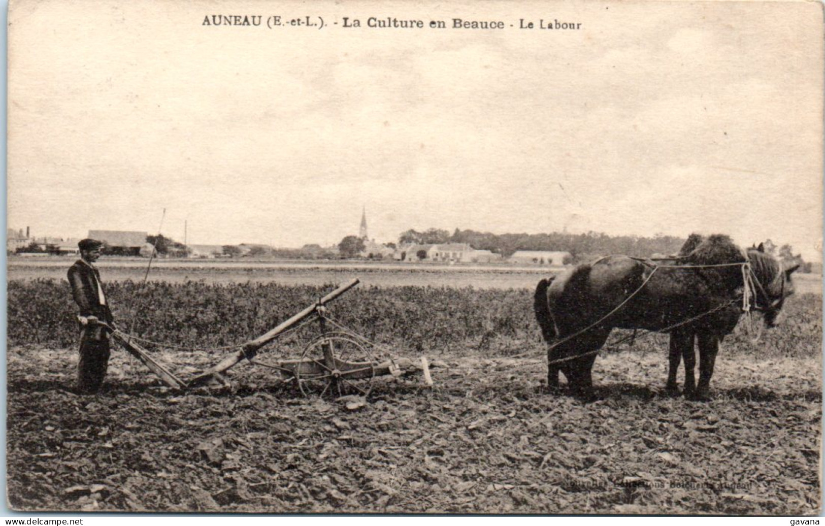 28 AUNEAU - La Culture En Beauce - Le Labour - Auneau