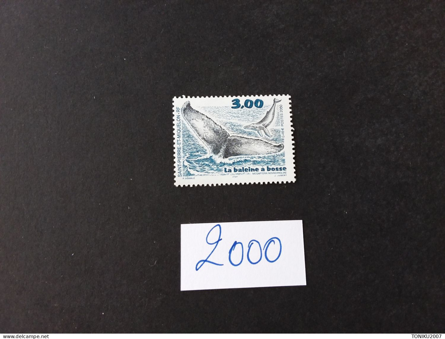 SAINT PIERRE ET MIQUELON 2000**  - MNH - Unused Stamps
