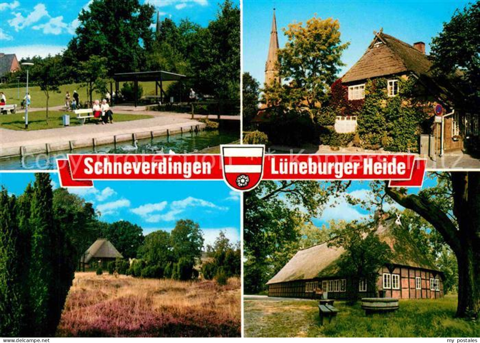 72771965 Schneverdingen Lueneburger Heide Schneverdingen - Schneverdingen