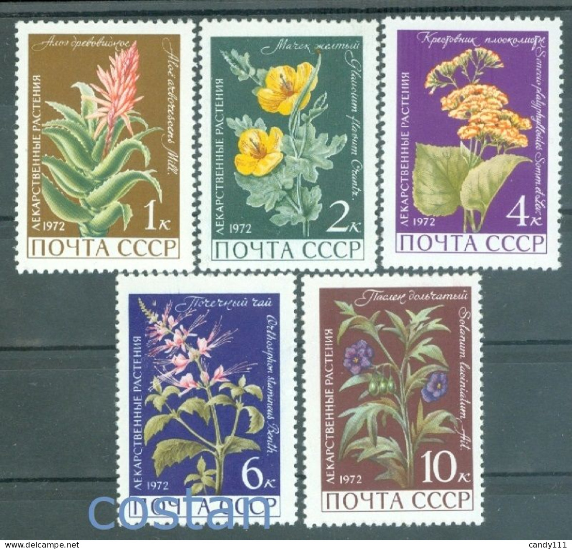 1972 Medicinal Plants,krantz Aloe,sea Poppy,poroporo,Orthosiphon,Russia,3988,MNH - Geneeskrachtige Planten