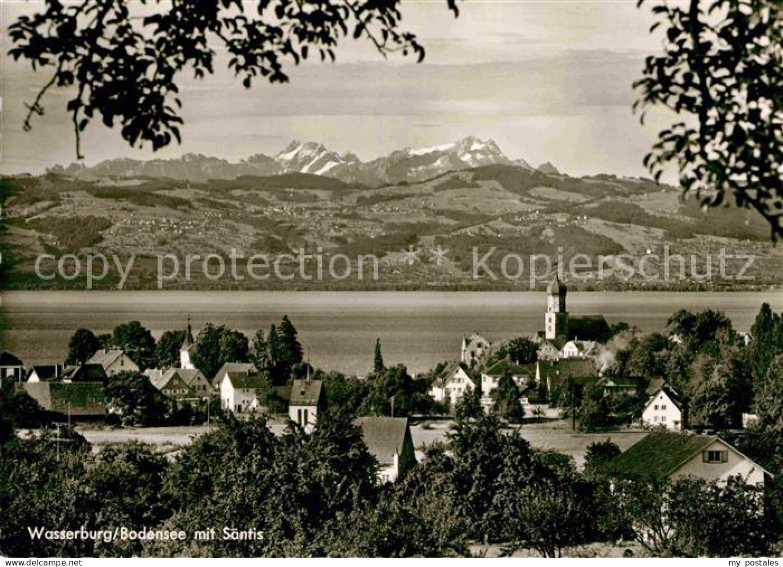 72771243 Wasserburg Bodensee Panorama Mit Saentis Wasserburg (Bodensee) - Wasserburg A. Bodensee