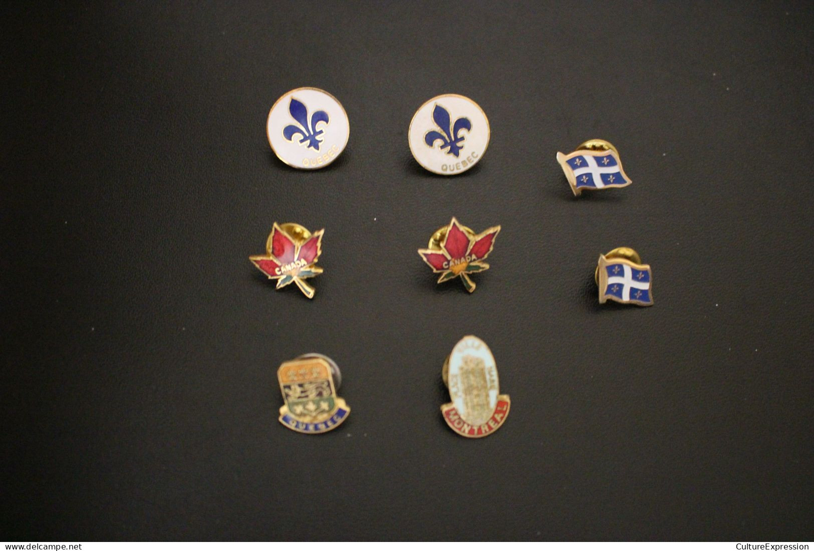 Lot De 8 Pin's Canada Québec Montréal (dont 5 Différents) - Lots