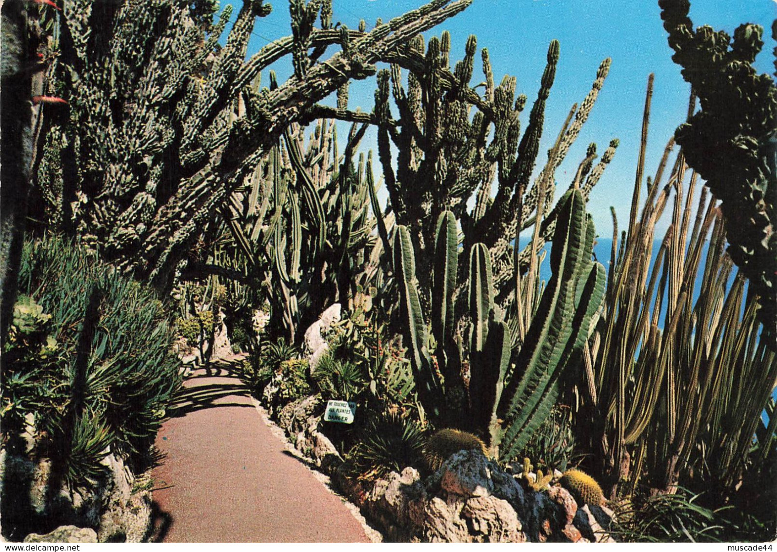 PRINCIPAUTE DE MONACO - LE JARDIN EXOTIQUE DOMINANT LA MEDITERRANEE - Jardín Exótico