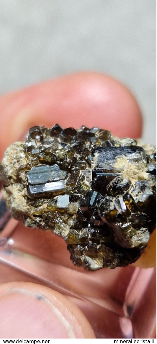 Vesuvianite   Cristalli Perfetti Lucenti Collezione 5,92  Gr 2 Cm Bellecombe AO Italia Vesuviana - Minerals