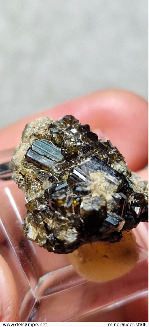 Vesuvianite   Cristalli Perfetti Lucenti Collezione 5,92  Gr 2 Cm Bellecombe AO Italia Vesuviana - Minéraux