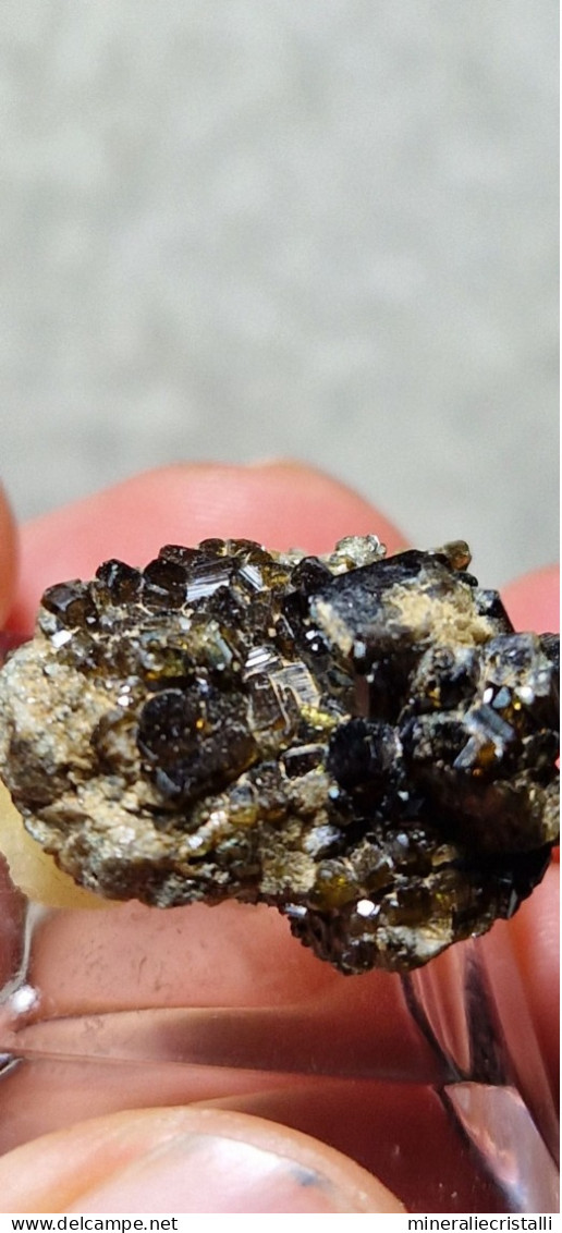 Vesuvianite   Cristalli Perfetti lucenti Collezione 5,92  gr 2 Cm Bellecombe AO Italia vesuviana