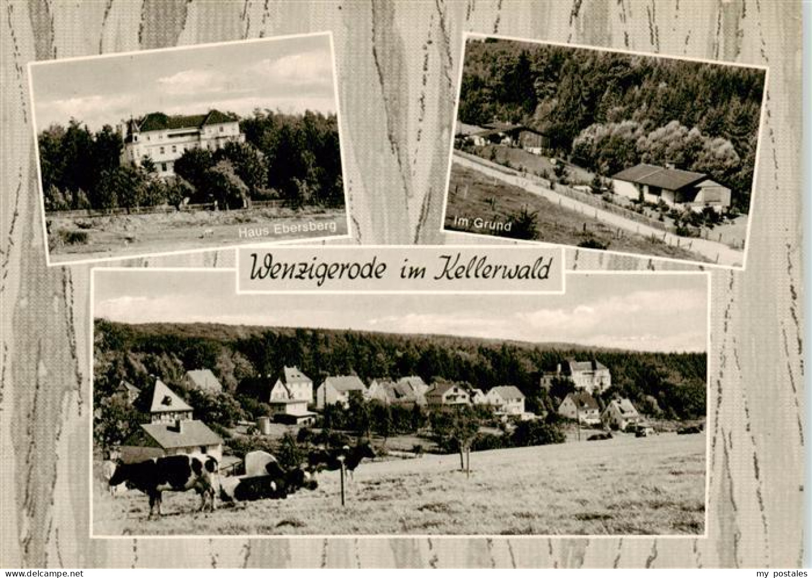 73878718 Wenzigerode Bad Zwesten Gaestehaus Haus Ebersberg Im Grund Ortsansicht  - Bad Zwesten