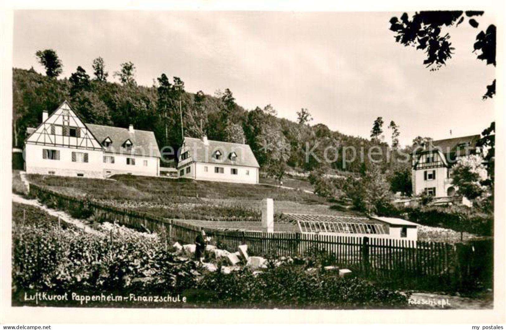 73772138 Pappenheim Mittelfranken Finanzschule Pappenheim Mittelfranken - Pappenheim