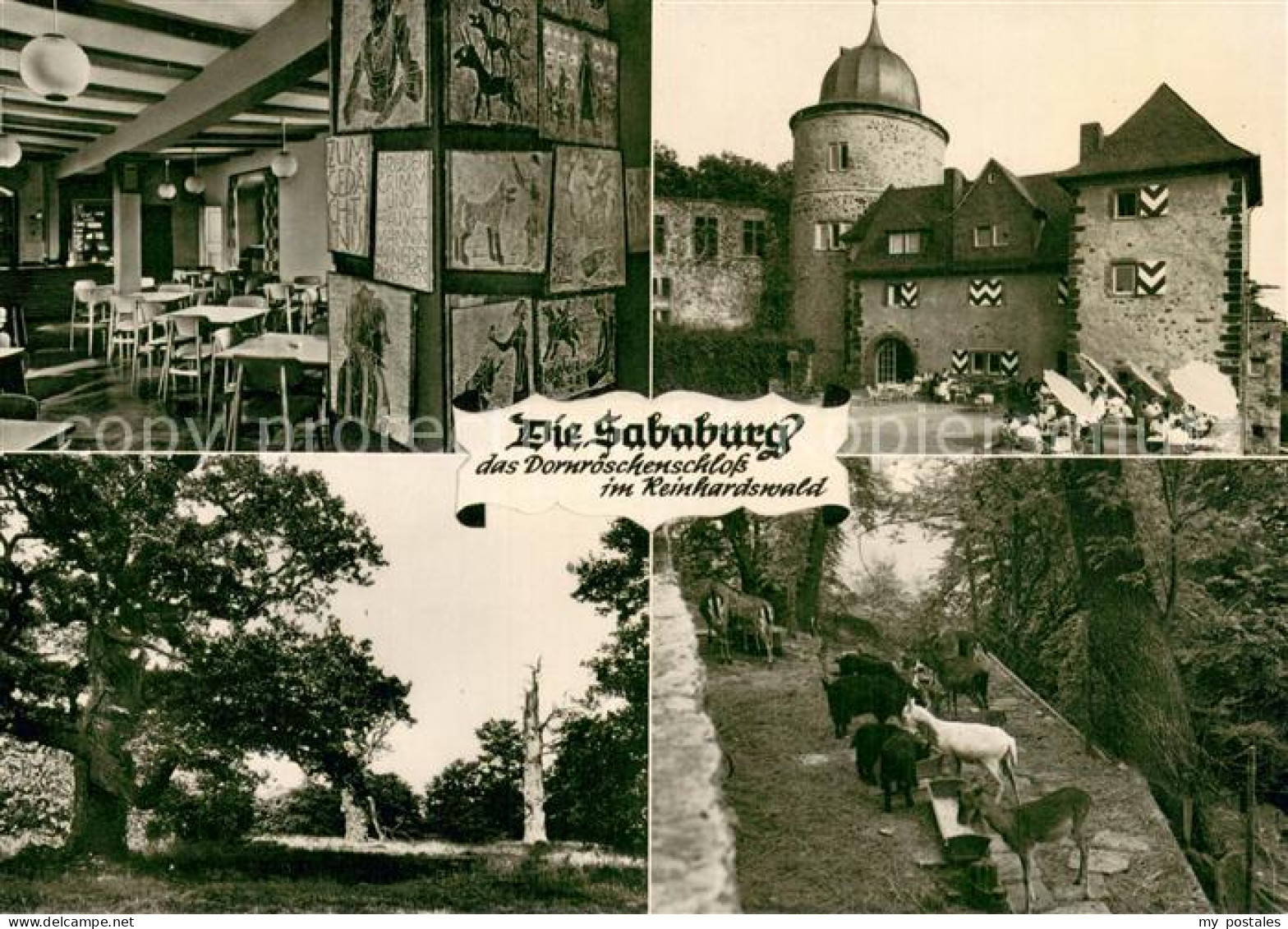 73739473 Beberbeck Die Sababurg Das Dornroeschenschloss Im Reinhardswald Wildgeh - Hofgeismar