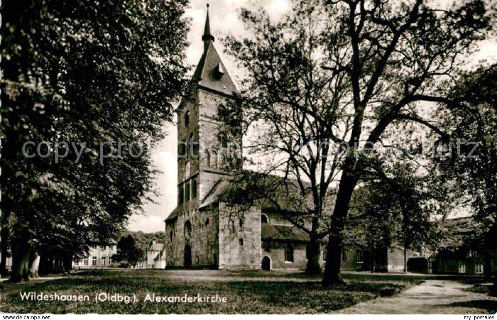 72863815 Wildeshausen Alexanderkirche Wildeshausen - Wildeshausen