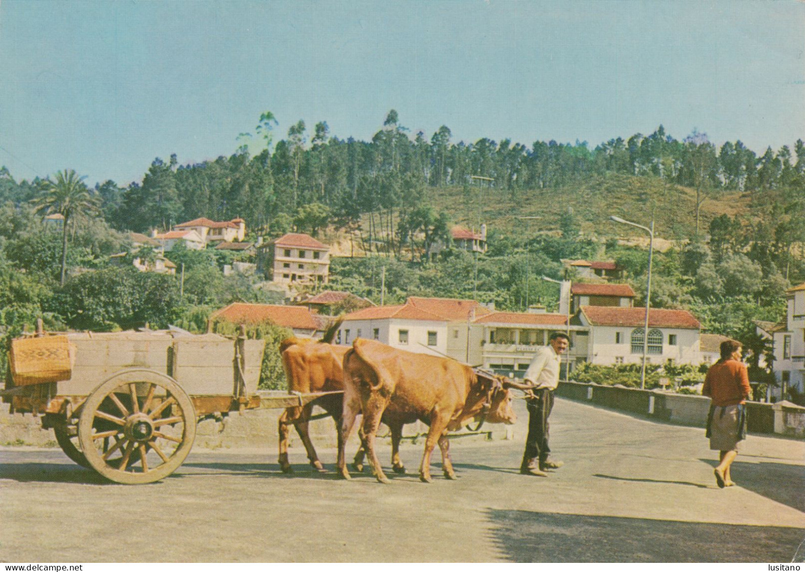 S. SÃO PEDRO DO SUL - Carro De Bois, Boeufs , Bull, TERMAS - Portugal - Viseu