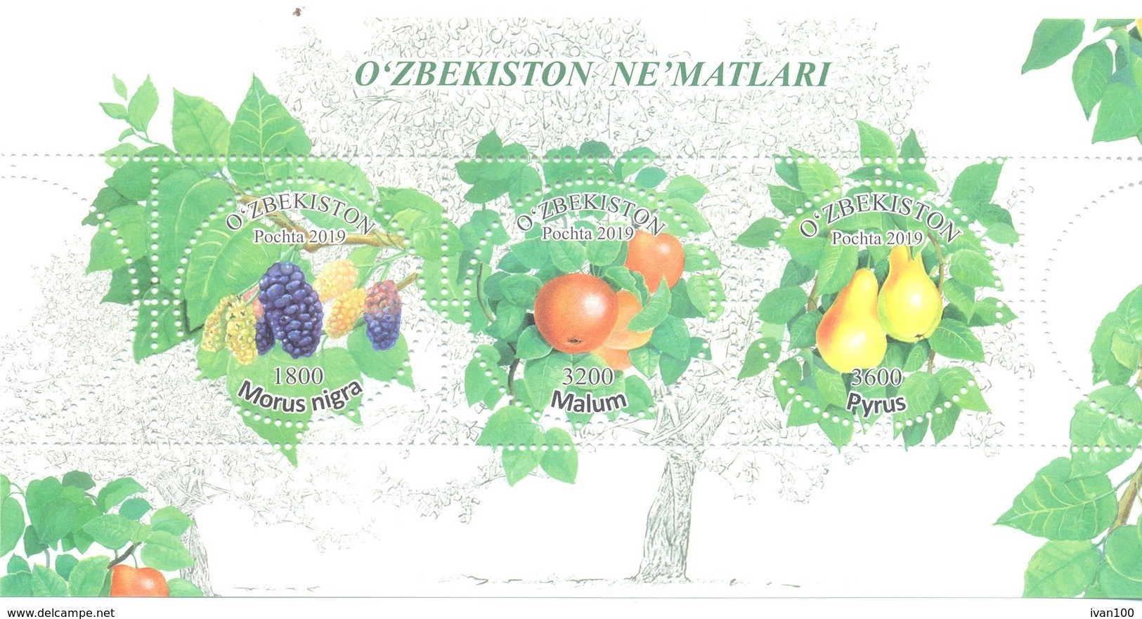 2019. Uzbekistan, Fruits Of Uzbekistan, S/s, Mint/** - Usbekistan