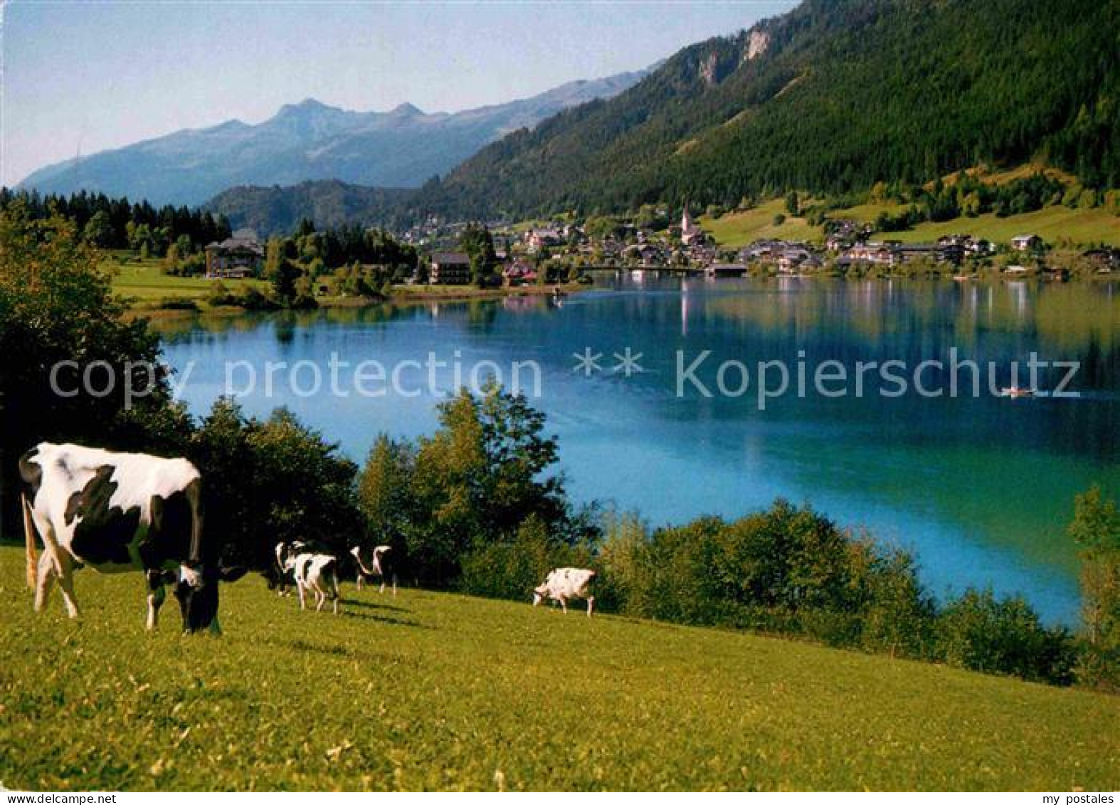 72860934 Weissensee Kaernten Panorama  Weissensee Kaernten - Weissensee