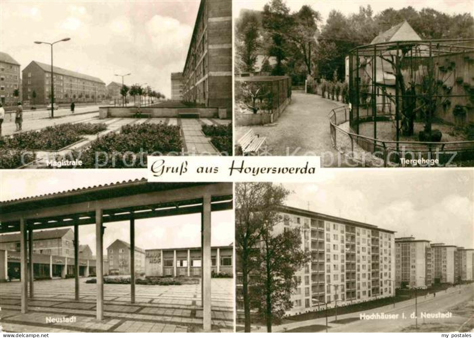 72859754 Hoyerswerda Tiergehege Hochhaeuser Neustadt Magistrale Hoyerswerda - Hoyerswerda