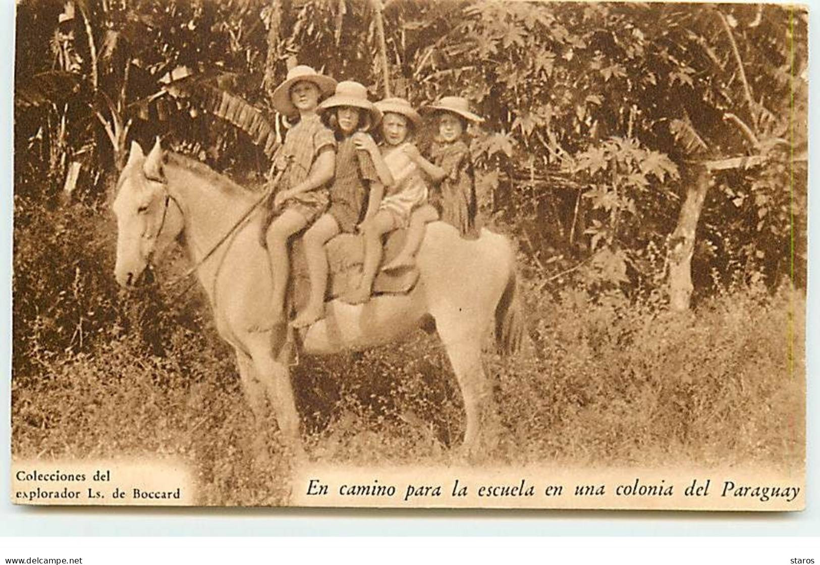 PARAGUAY - En Camino Para La Escuela En Una Colonia Del Paraguay - Enfants Sur Le Dos D'un Cheval - Paraguay