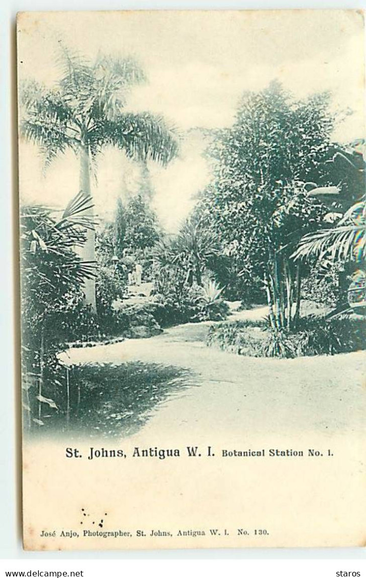 Antilles - ANTIGUA - Saint-Johns - W.I. Botanical Station N°1 - Antigua & Barbuda