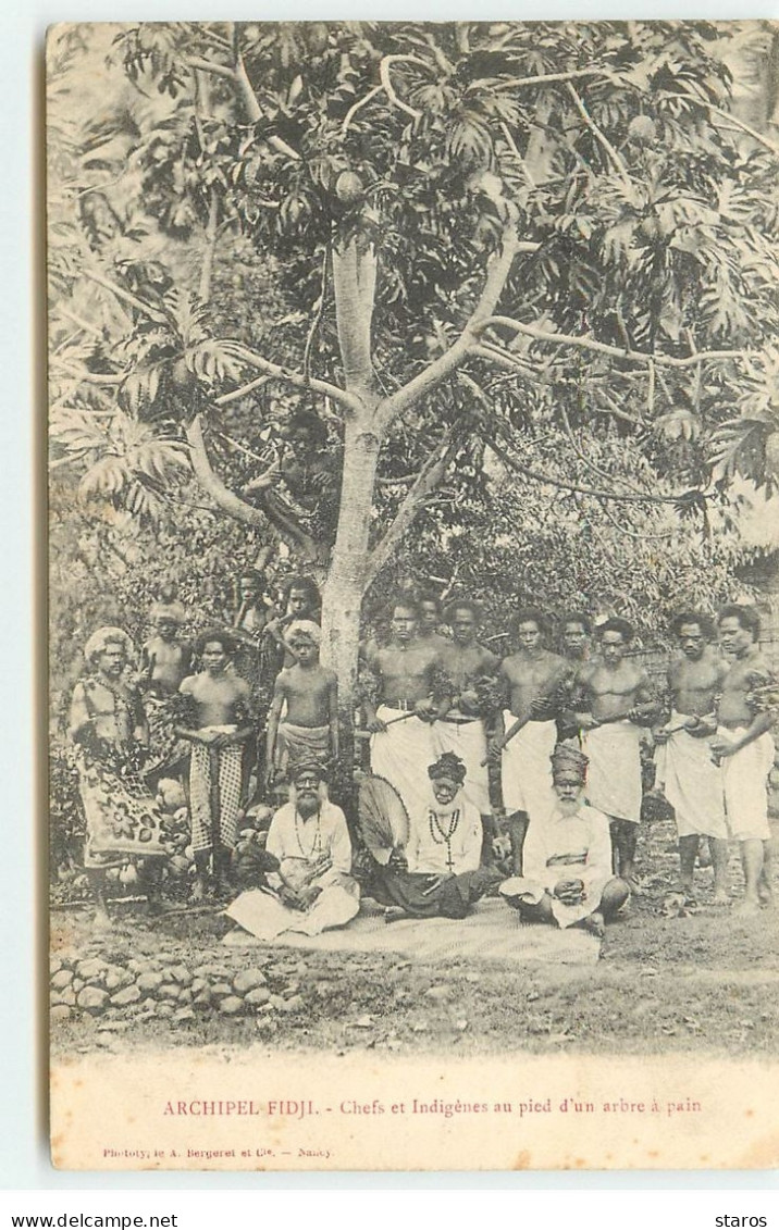 Archipel FIDJI - Chefs Et Indigènes Au Pied D'un Arbre à Pain - Fiji