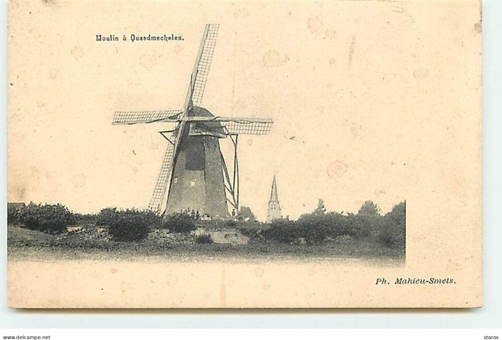 Belgique - Moulin à Quaedmechelen - Windmill - Ham