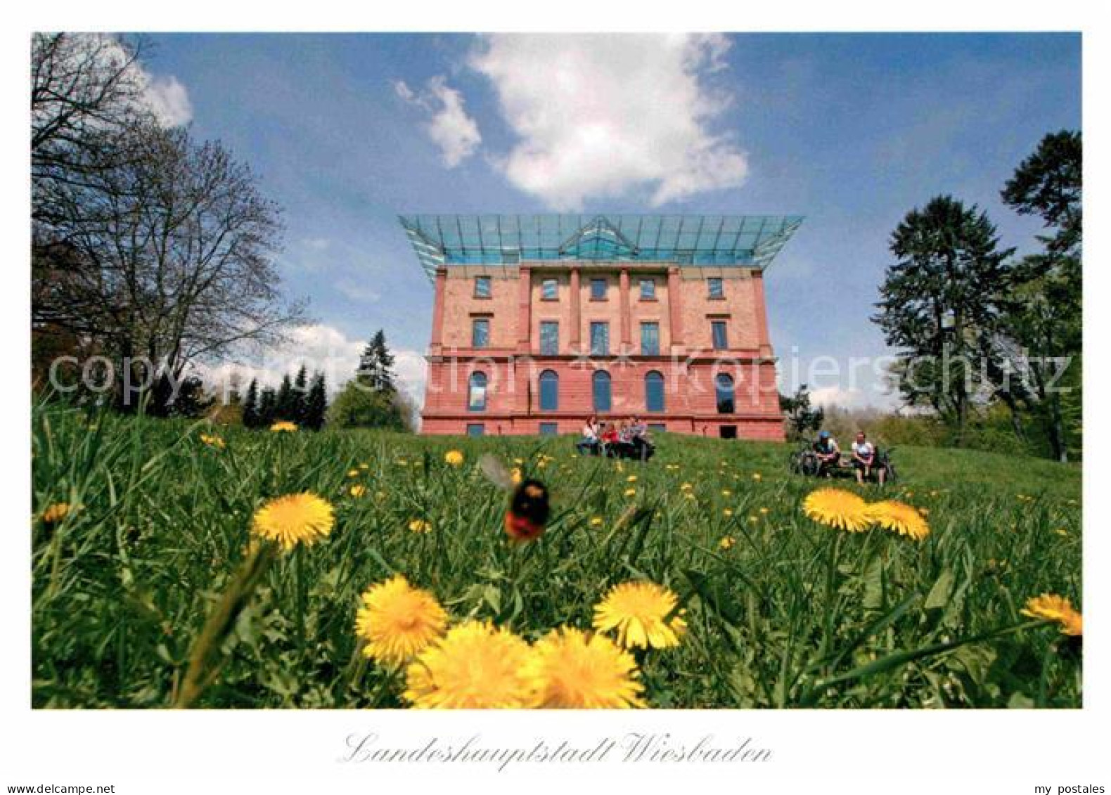 72858106 Wiesbaden Jagdschloss Von Herzog Wilhelm Blumenwiese Hummel Wiesbaden - Wiesbaden