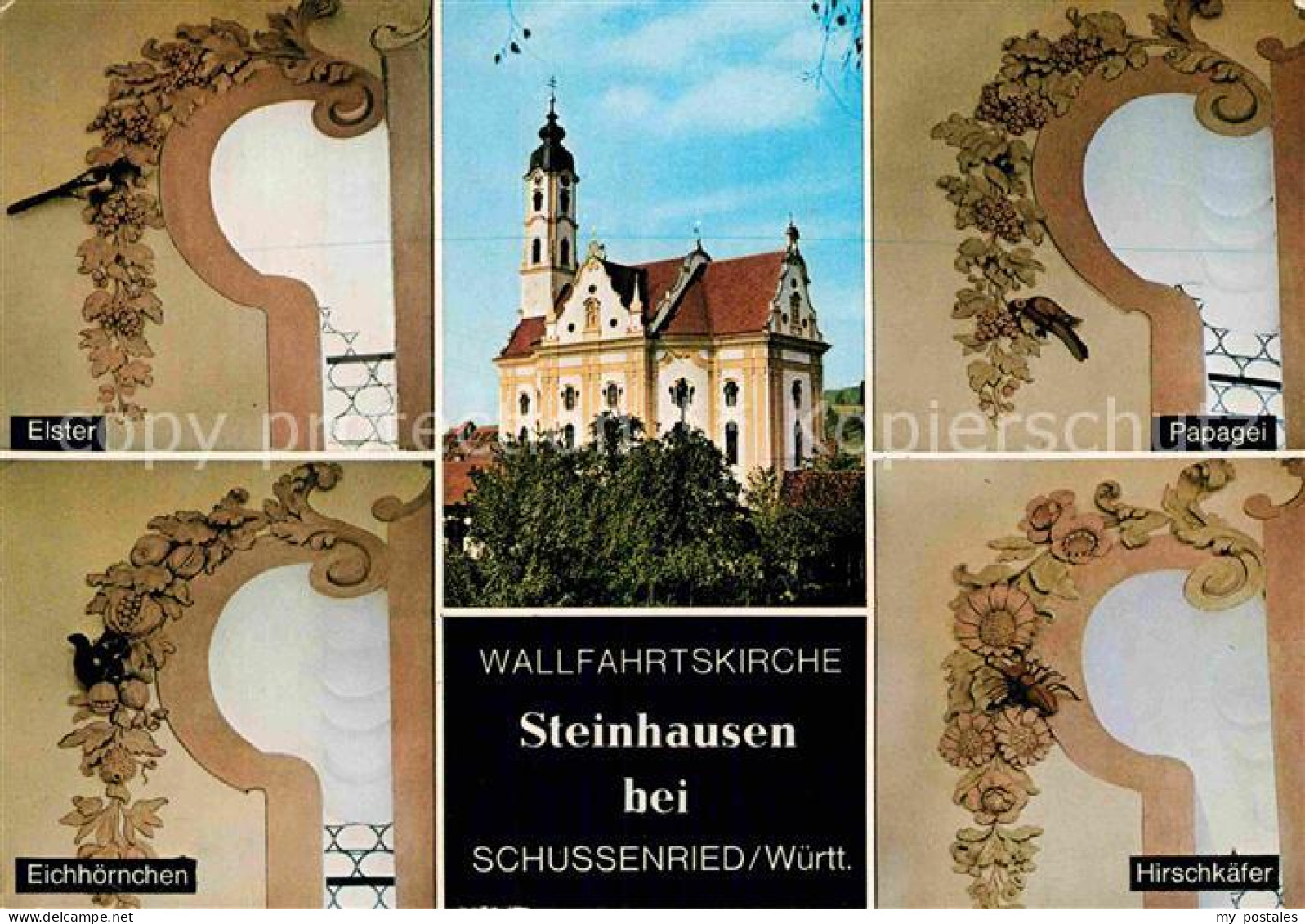 72857372 Bad Schussenried Wallfahrtskirche Steinhausen Elster Eichhoernchen Papa - Bad Schussenried