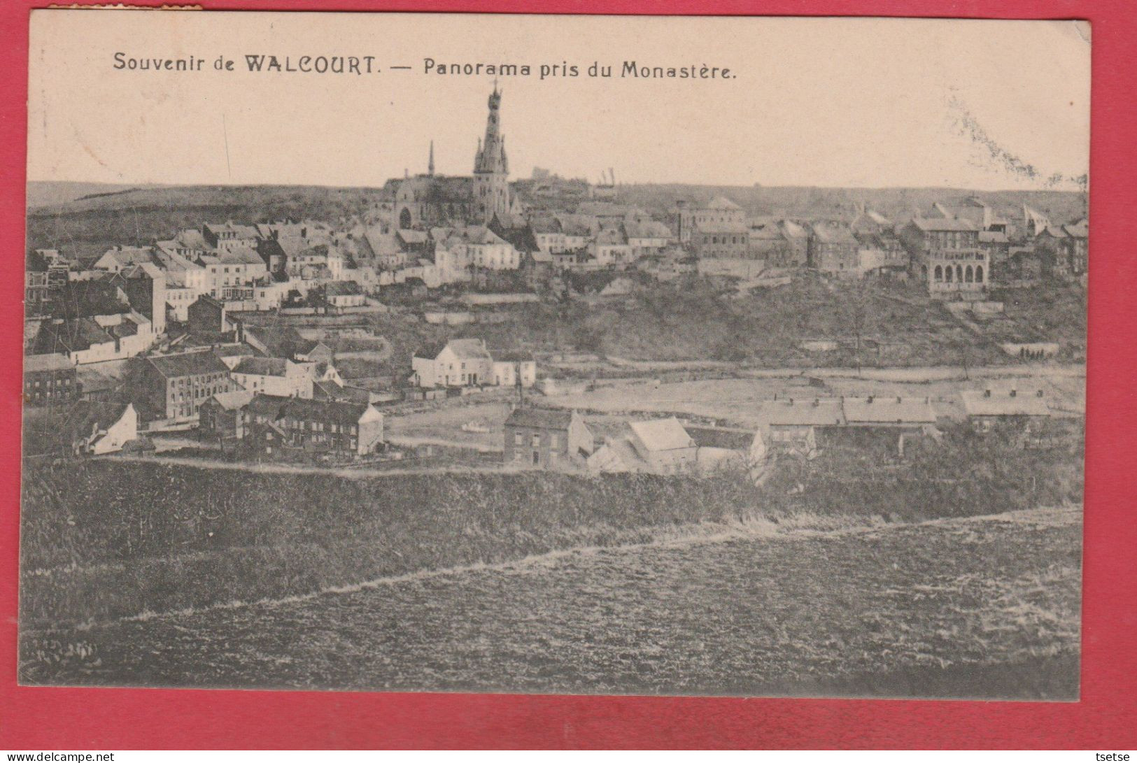 Walcourt - Panorama Pris Du Monastère ( Voir Verso ) - Walcourt