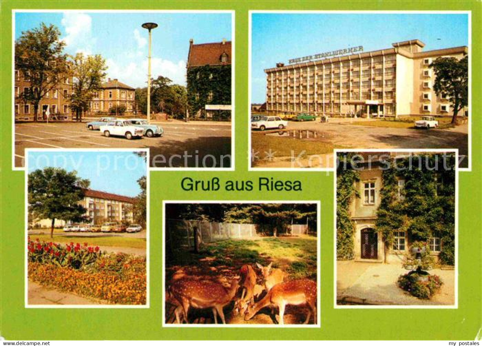 72854832 Riesa Sachsen Leninplatz Tierpark Rathaus Riesa - Riesa