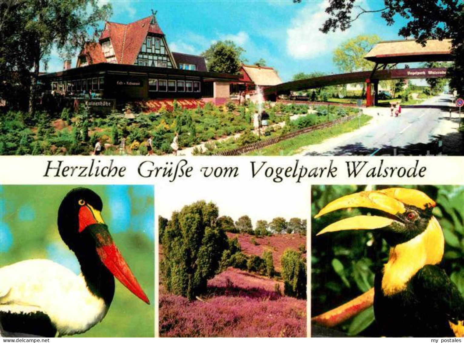 72854804 Walsrode Lueneburger Heide Vogelpark Walsrode - Walsrode