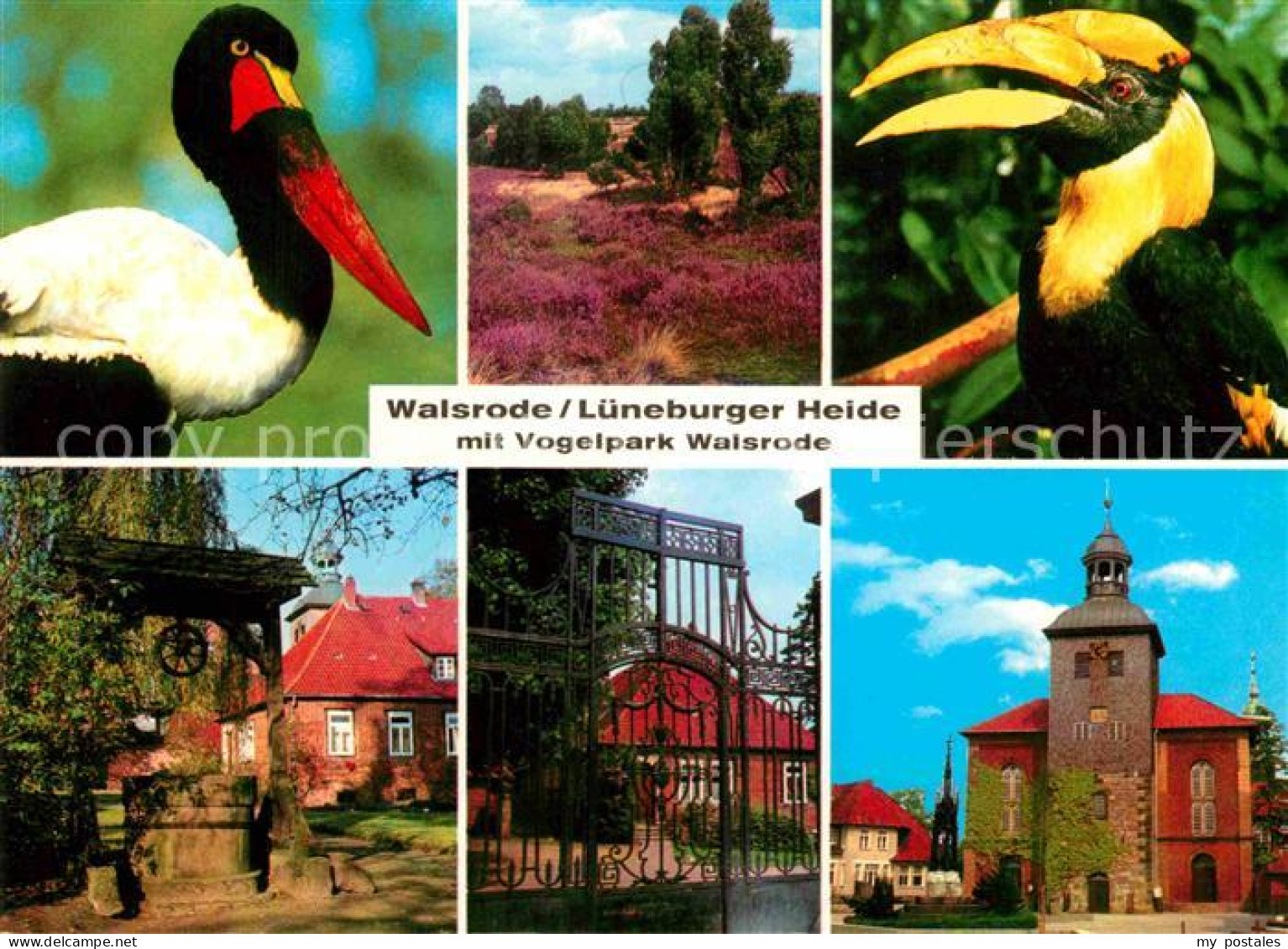 72854746 Walsrode Lueneburger Heide Vogelpark Walsrode - Walsrode