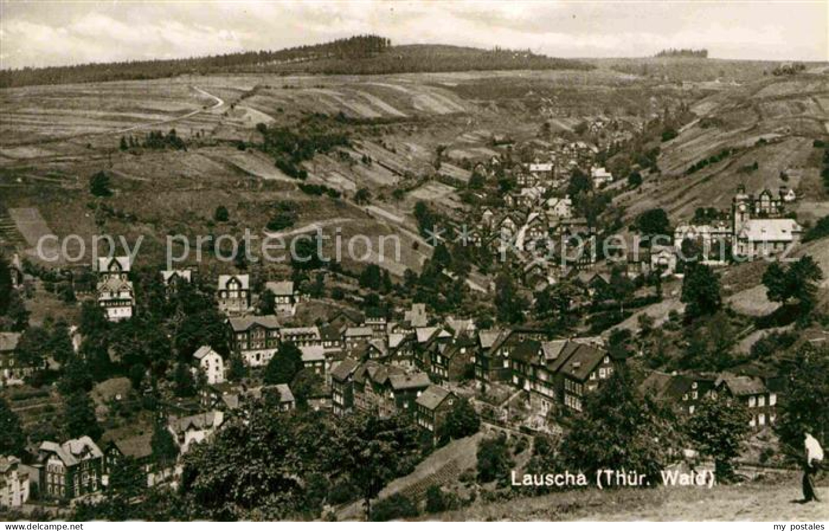 72850729 Lauscha Panorama Thueringer Wald Lauscha - Lauscha