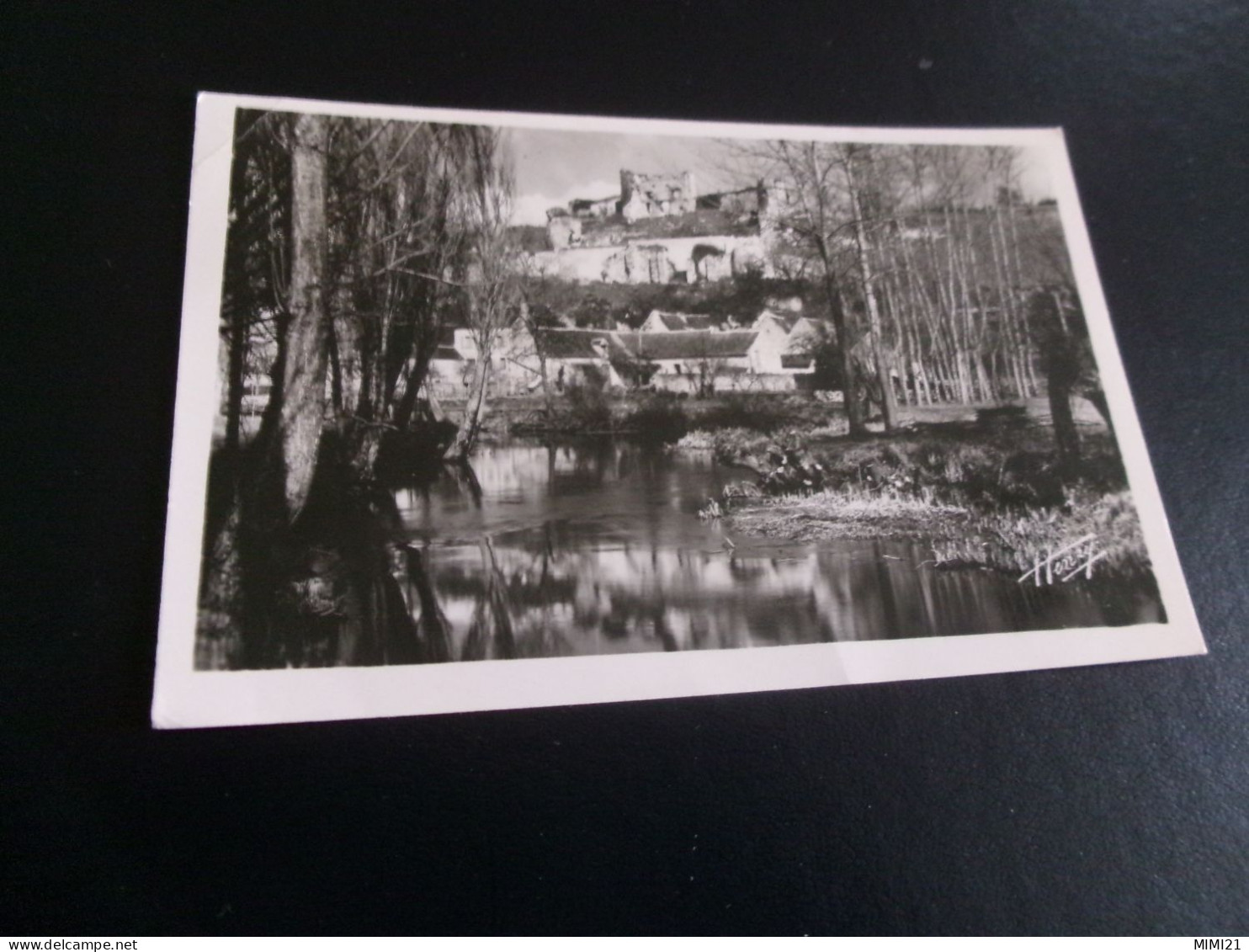 BELLE CARTE CPSM." LE GRAND PRESSIGNY (37)...VUE PANORAMIQUE DU CHATEAU D'ETABLEAU"... - Le Grand-Pressigny