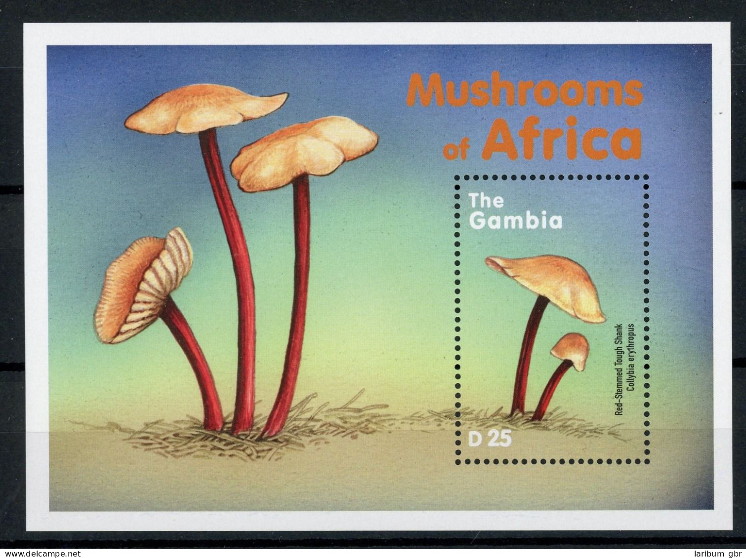 Gambia Block 464 Postfrisch Pilze #JR694 - Gambia (1965-...)