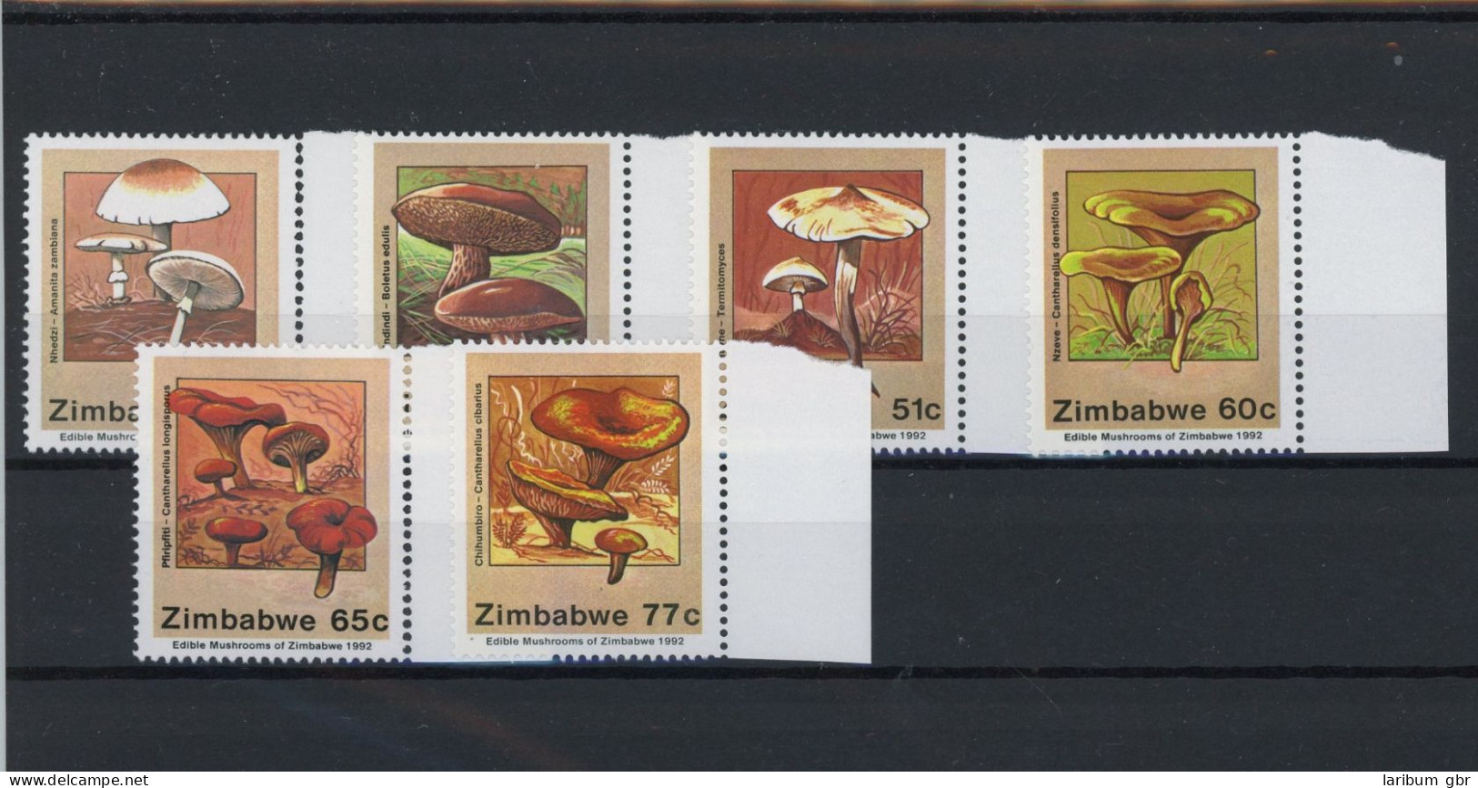 Simbabwe 476-481 Postfrisch Pilze #JO638 - Zimbabwe (1980-...)