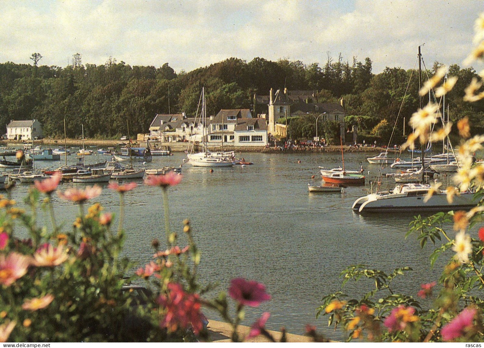 CPM - FINISTERE - LE PORT DE BELON ENTRE RIEC SUR BELON ET MOELAN SUR MER - Trégunc