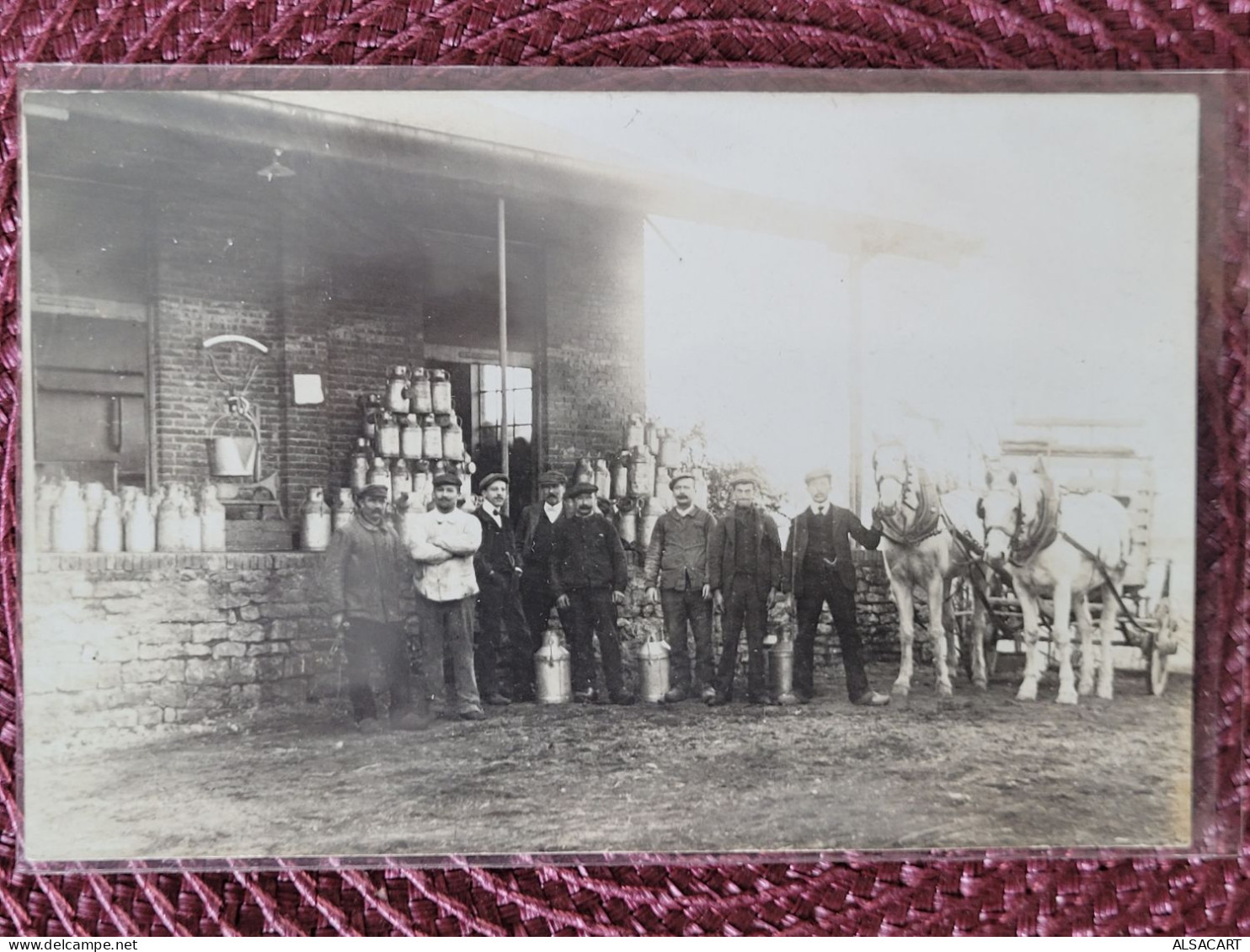 Carte Photo ,  Laiterie , Attelage De Chevaux Pour La Livraison - Negozi