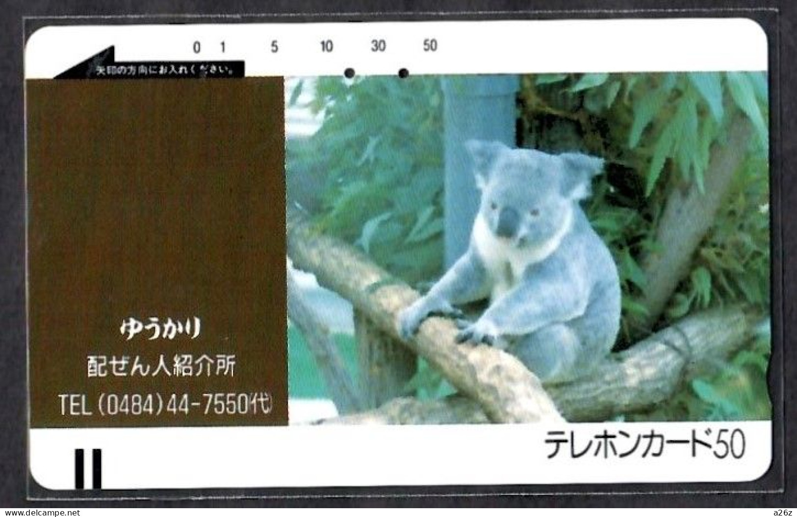 Japan 1V Koala Used Card - Oerwoud