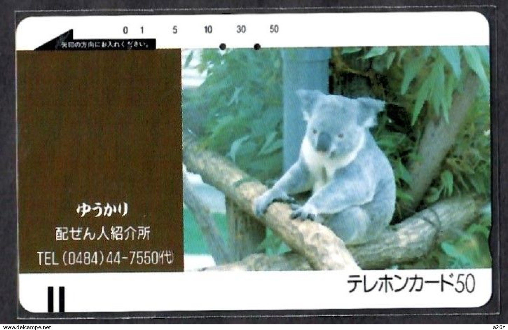 Japan 1V Koala Used Card - Jungle