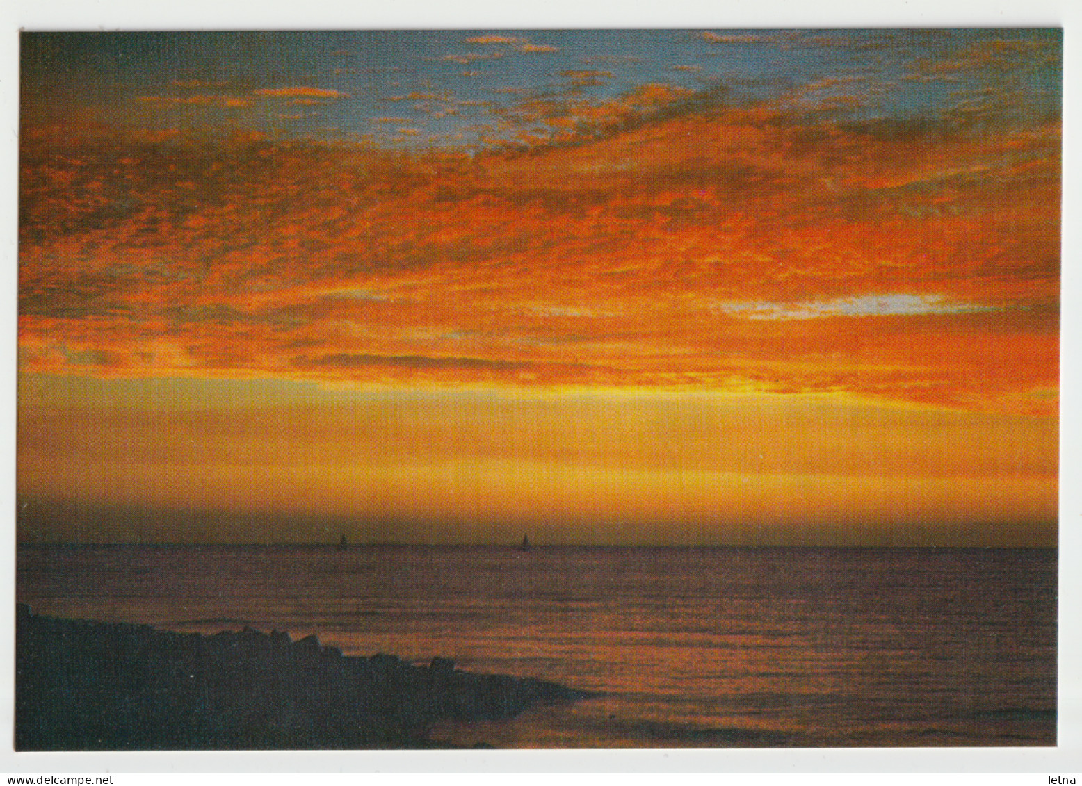 Australia VICTORIA VIC Golden Sunset Rose Series No.683 Postcard C1970s - Otros & Sin Clasificación