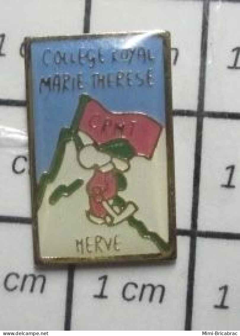 SP13 Pin's Pins / Beau Et Rare /  ADMINISTRATIONS / BeLGIQUe COLLeGe ROYAL MARIe THereSe A Herve CRMT - Administrations